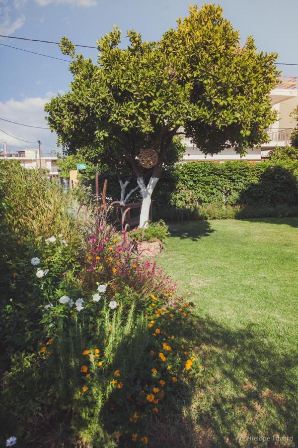 אמרינתוס Small Guesthouse In The Garden מראה חיצוני תמונה